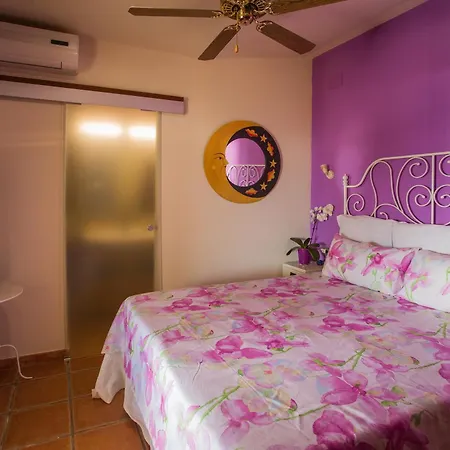 Xpce Indonesian Palace Luxuorius Boutique Villa Málaga